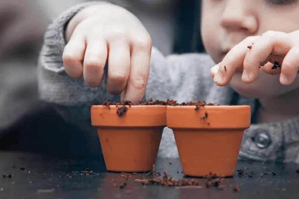 Children’s Mini Growing Kits (3 Kits Available)