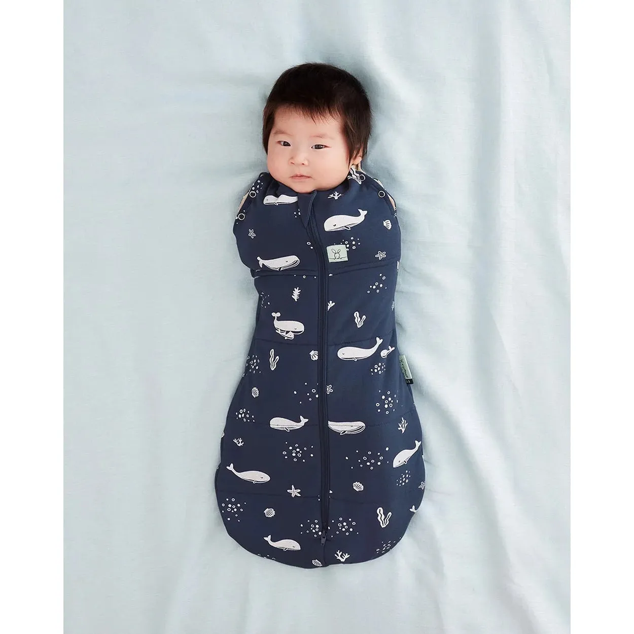 ergoPouch Cocoon Swaddle Bag - 3.5 TOG - Whale