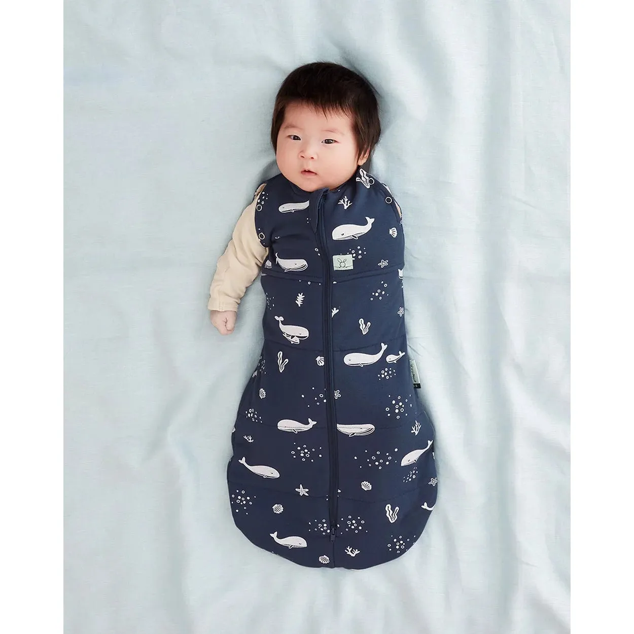 ergoPouch Cocoon Swaddle Bag - 3.5 TOG - Whale