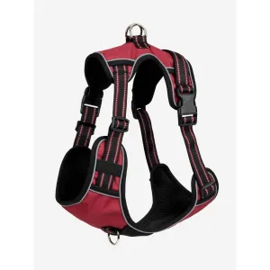 Le Mieux Winchester Dog Harness Bluebell Burgundy