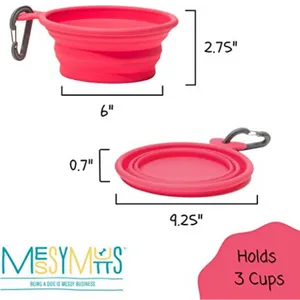 Messy Mutts Collapsible Bowl Watermelon