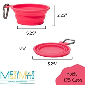 Messy Mutts Collapsible Bowl Watermelon