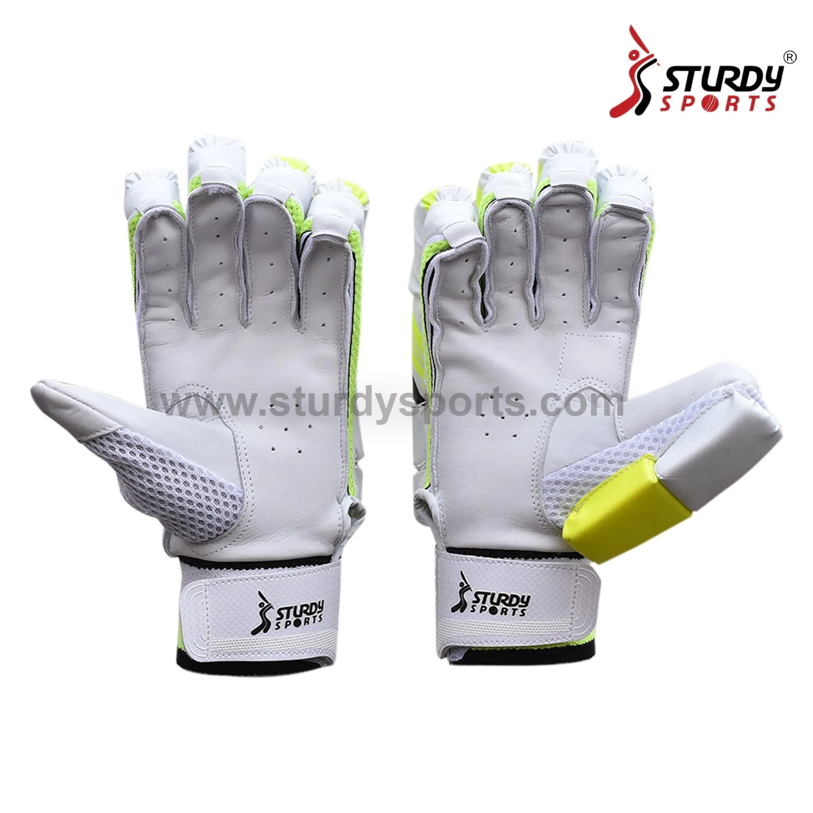 Sturdy Alligator Cricket Batting Gloves - Senior